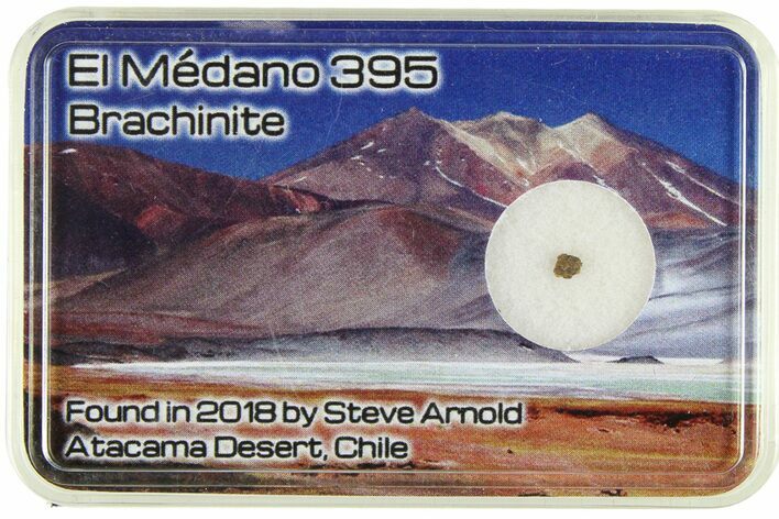 El Médano () Brachinite Meteorite Slice - Chile #285609